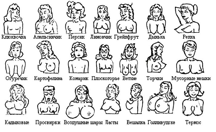 типы груди