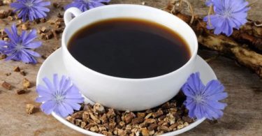 цикорий при грудном вскармливании