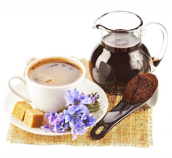 цикорий при грудном вскармливании