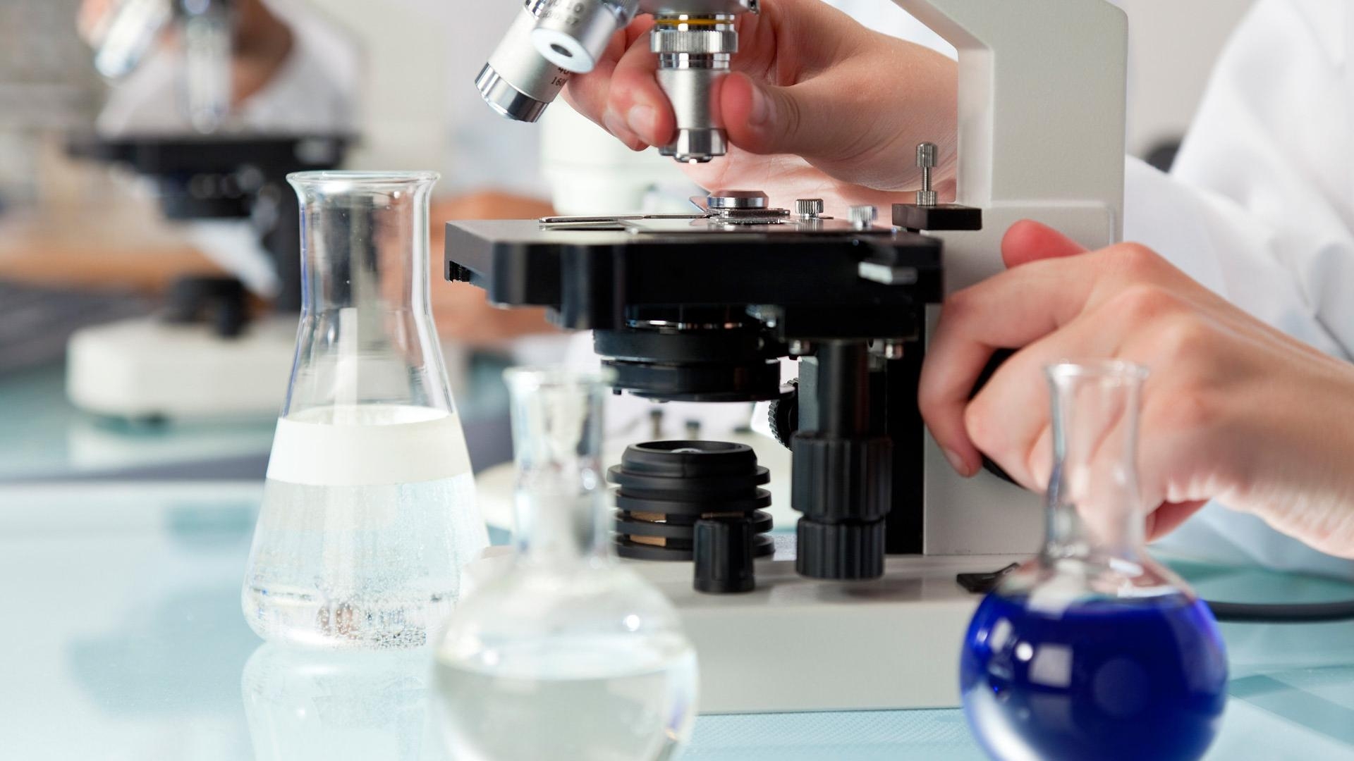 иммуногистохимическое исследование