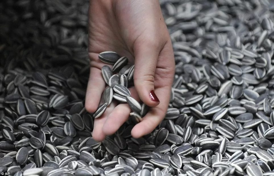 семечки при грудном вскармливании