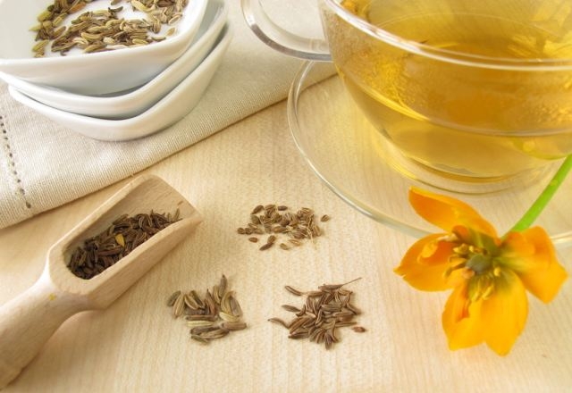 фенхель при грудном вскармливании