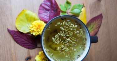 фенхель при грудном вскармливании