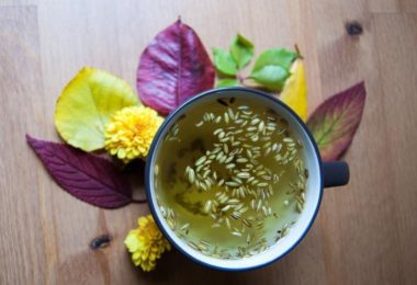 фенхель при грудном вскармливании