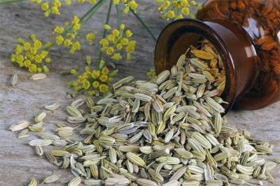 фенхель при грудном вскармливании