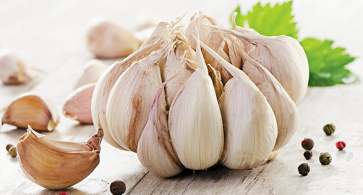 чеснок при грудном вскармливании