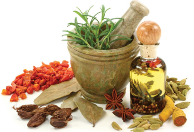 киста молочной железы лечение народными средствами отзывы