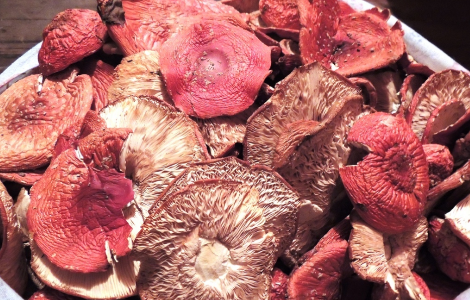 Настойка из шляпок мухомора