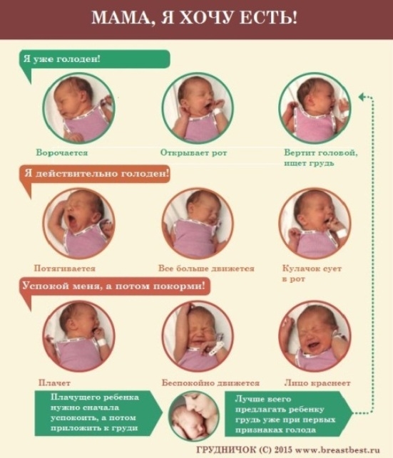 Что делать, если мало грудного молока