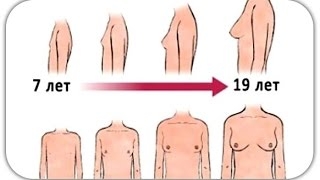 почему не растет грудь