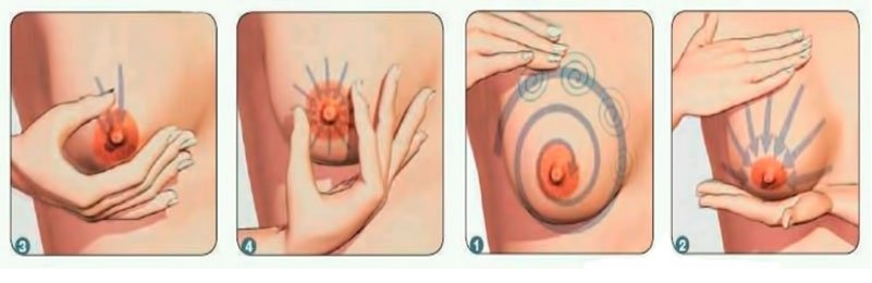 восстановление лактации