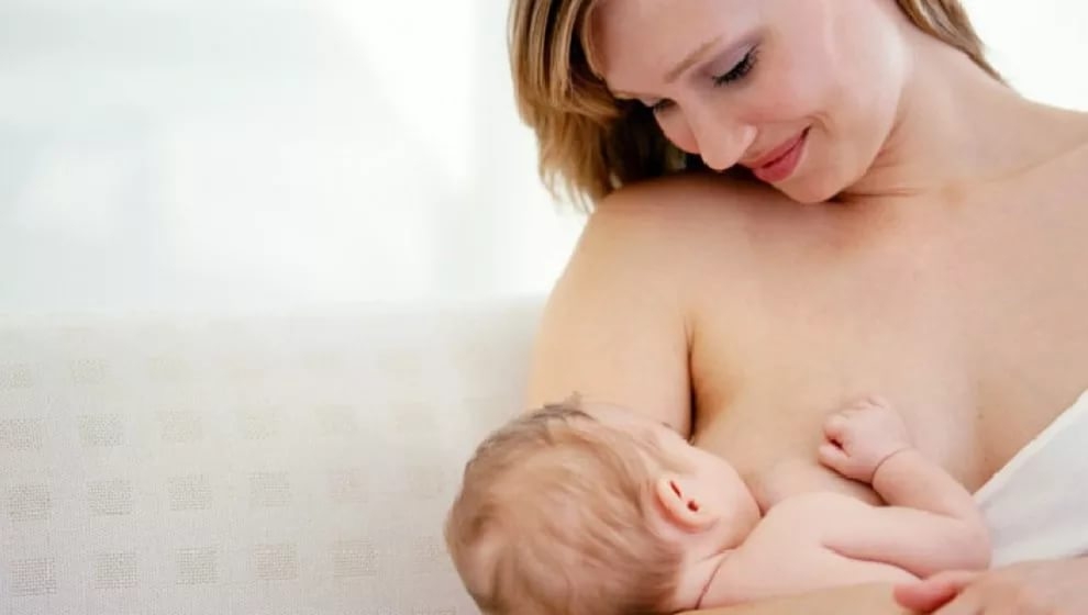 пустырник при ГВ