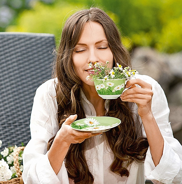 ромашка при ГВ